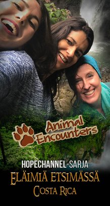Eläimiä etsimässä - Costa Rica
