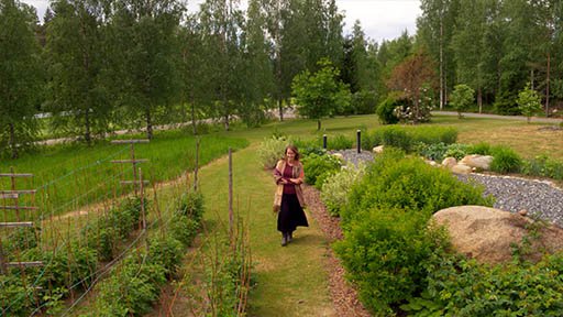 Pajunen - Likainen suihku