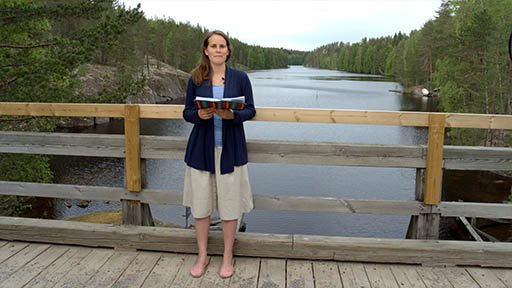 Pajunen - Katkennut koivunoksa